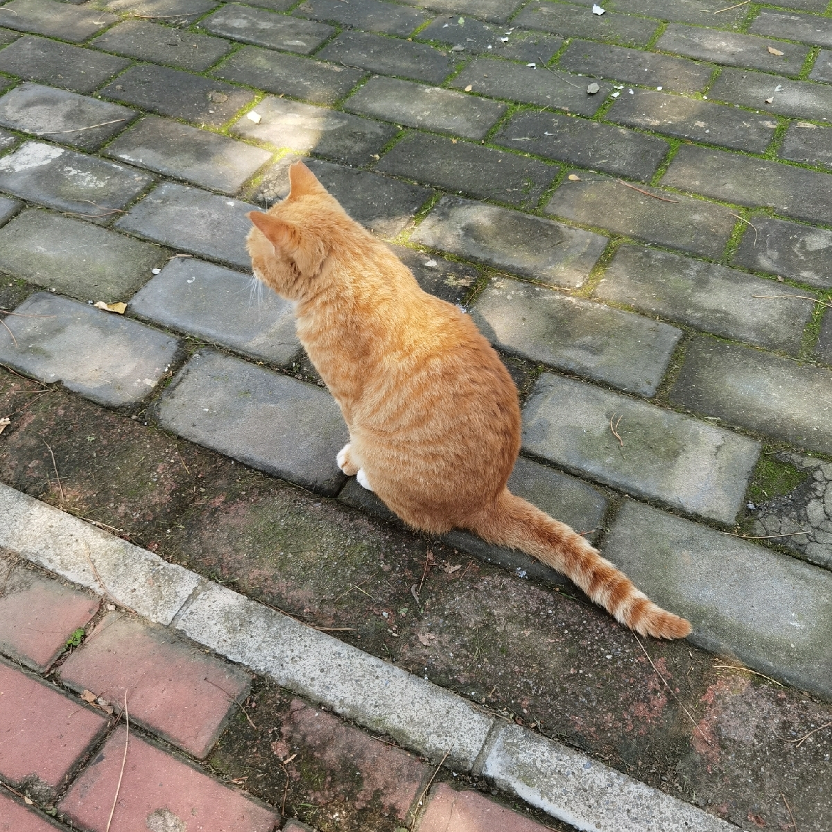 就像阳光穿过黑夜