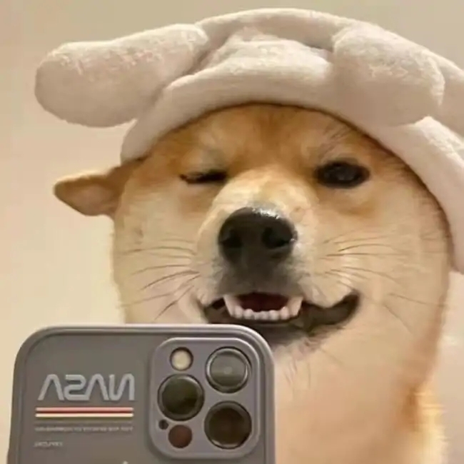 柏树林勤劳的木豆