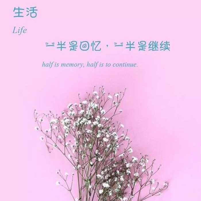 爱吃番茄的土豆