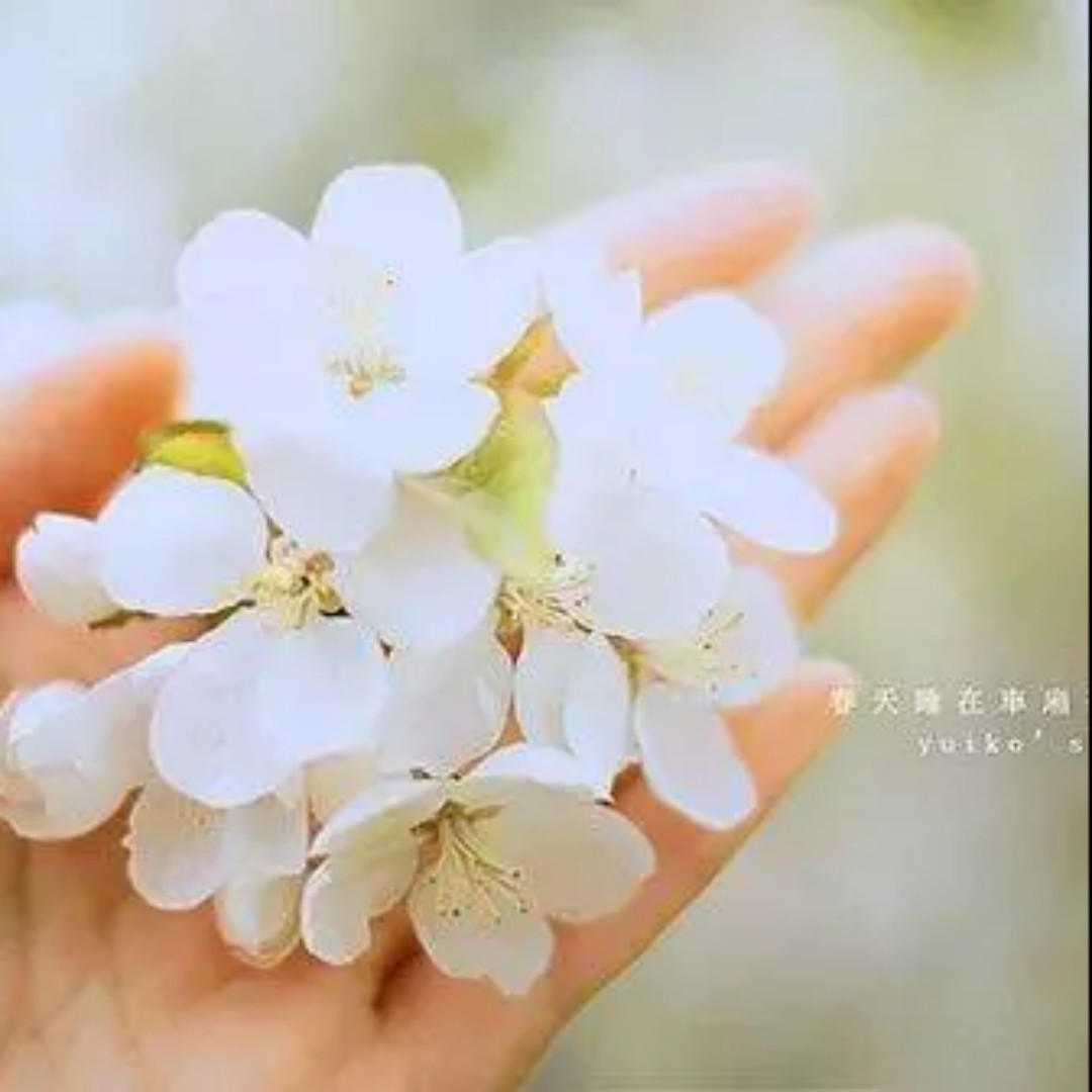 爱吃土豆粉酸辣粉