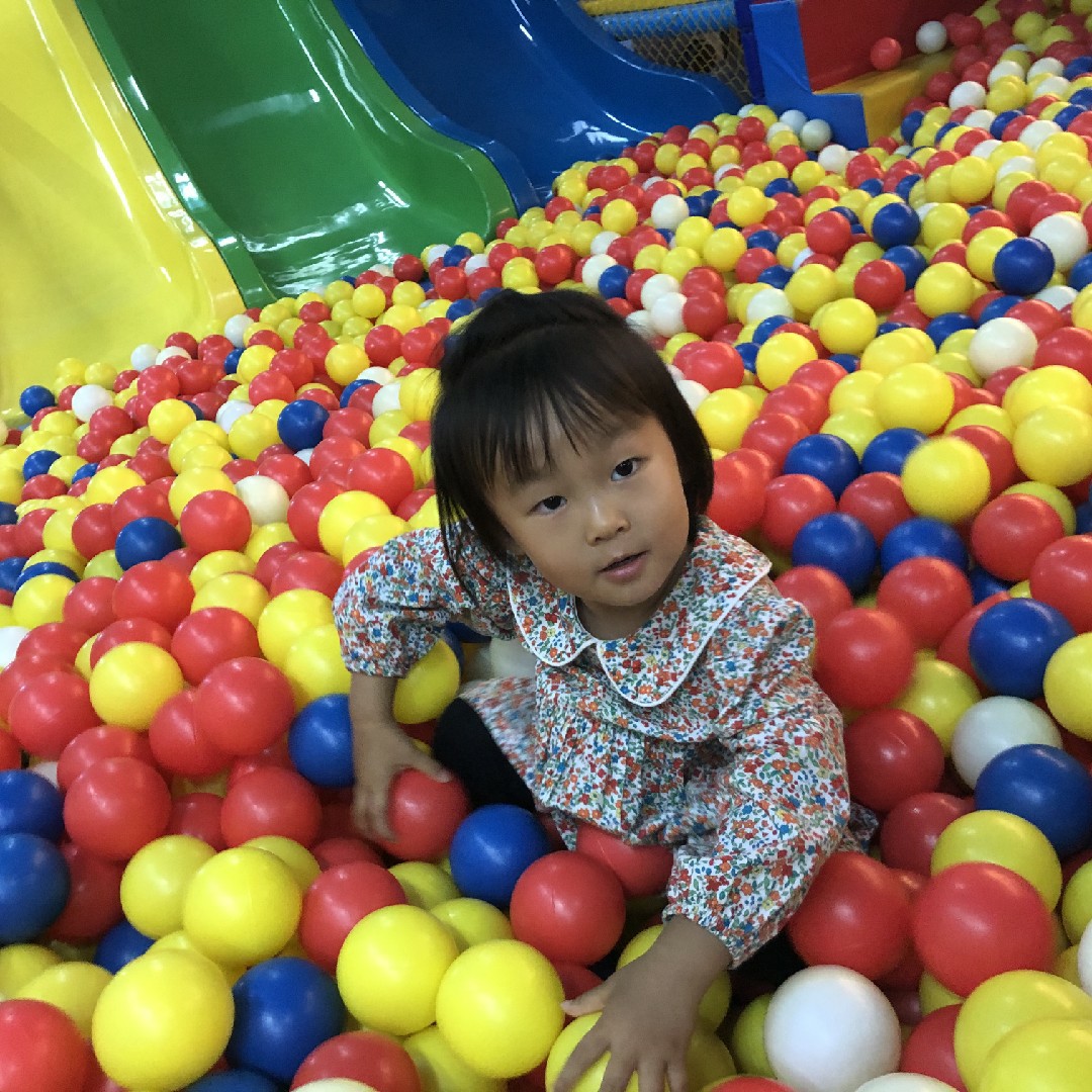 爱吃黄椒炒肉的地瓜