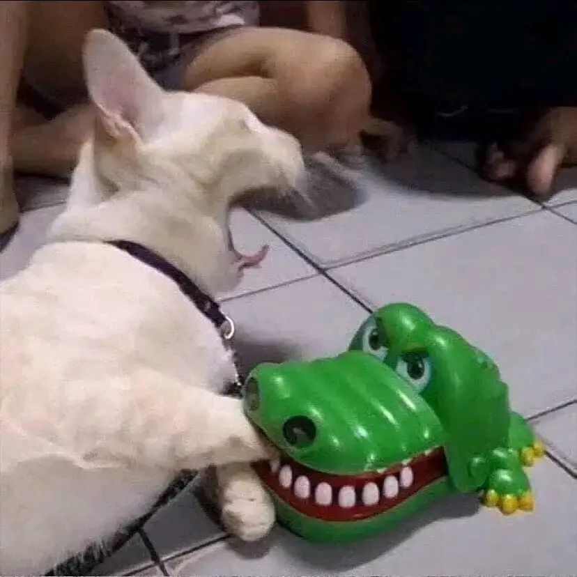 啊哈哈哈宇宙无敌