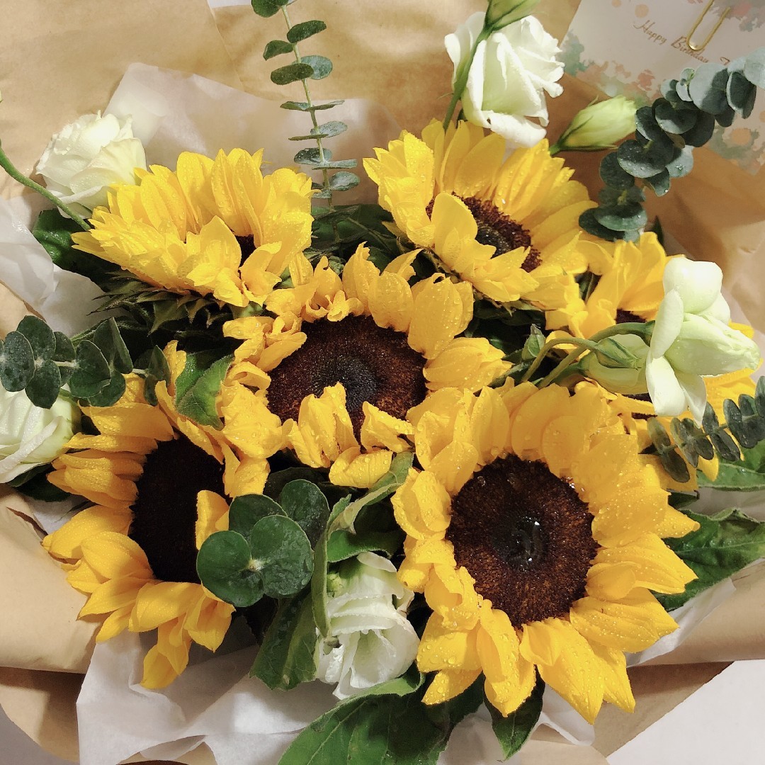 开心宝宝是我2020