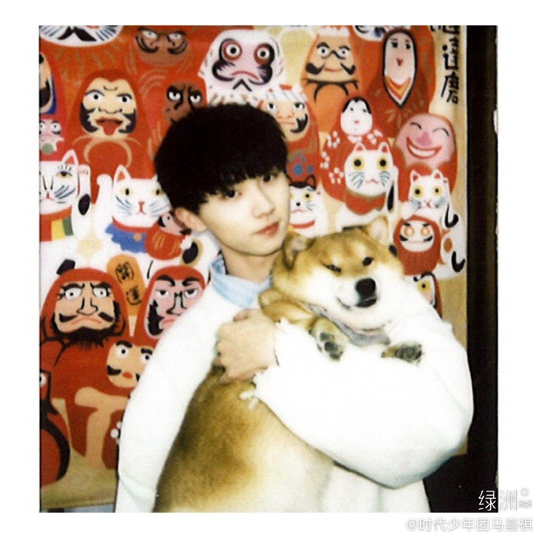 听说猫喜欢吃鱼