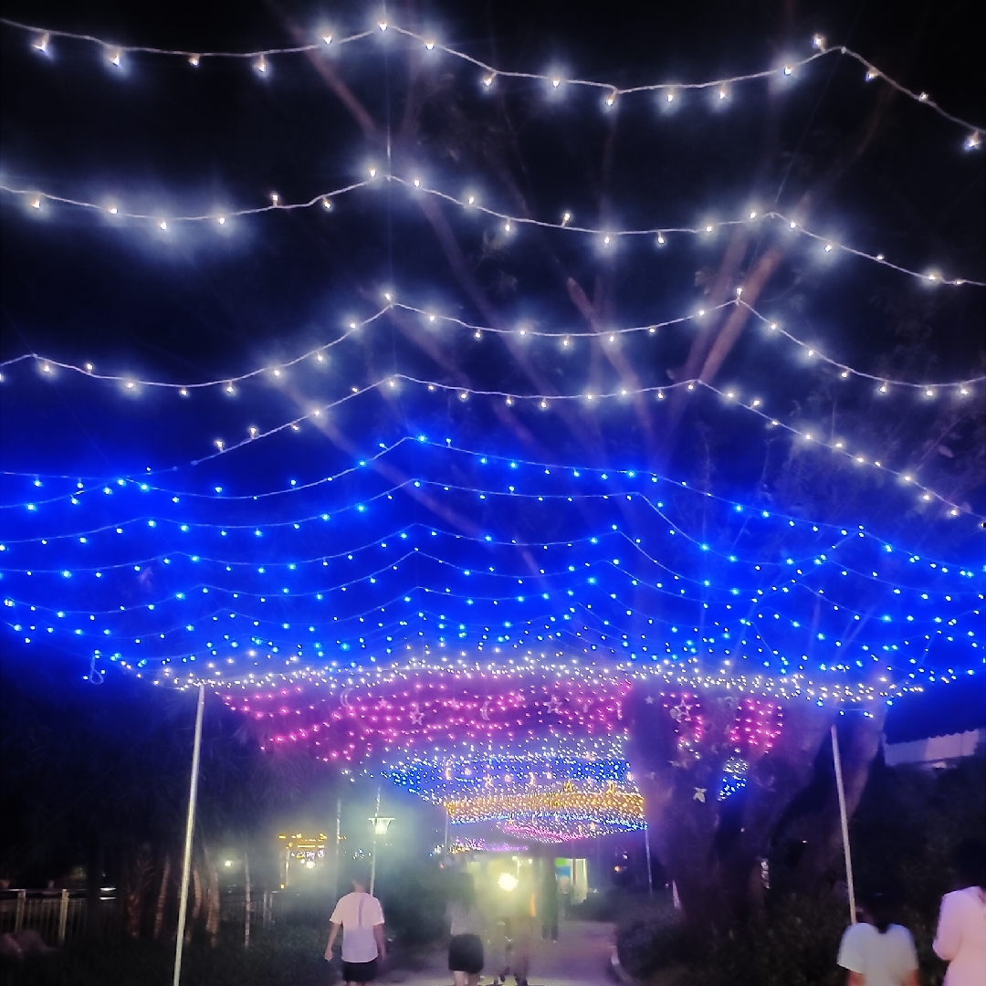 爱吃酱香肘子的路人甲