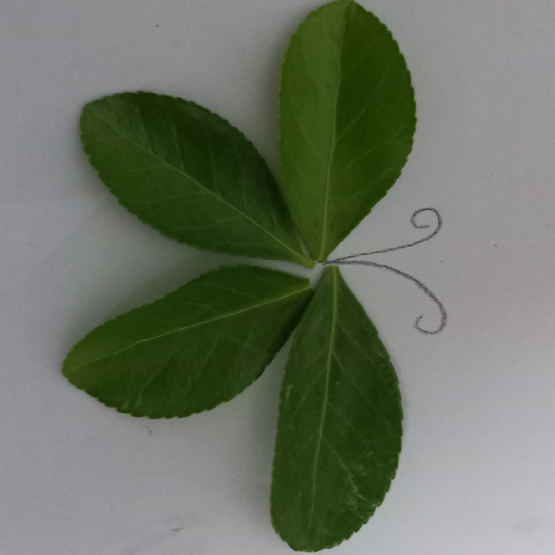 如果岁月可回头hh