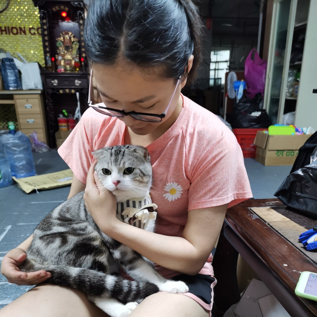 江十一的小满姨