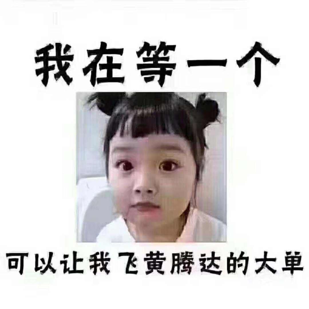 午后的蜗牛
