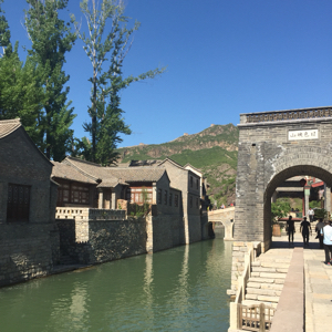 爱吃艾叶青团的树莓