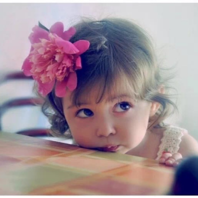 爱吃小白菜的猫猫