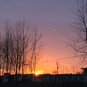 墨蓝色的丰悦哥1