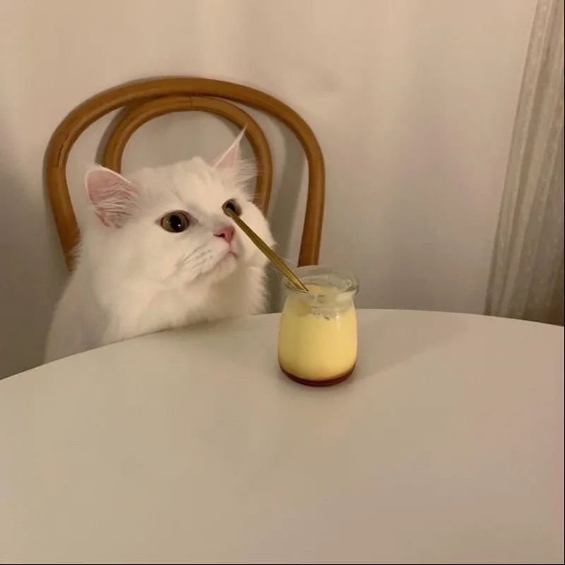 小岳同志什么时候能发财