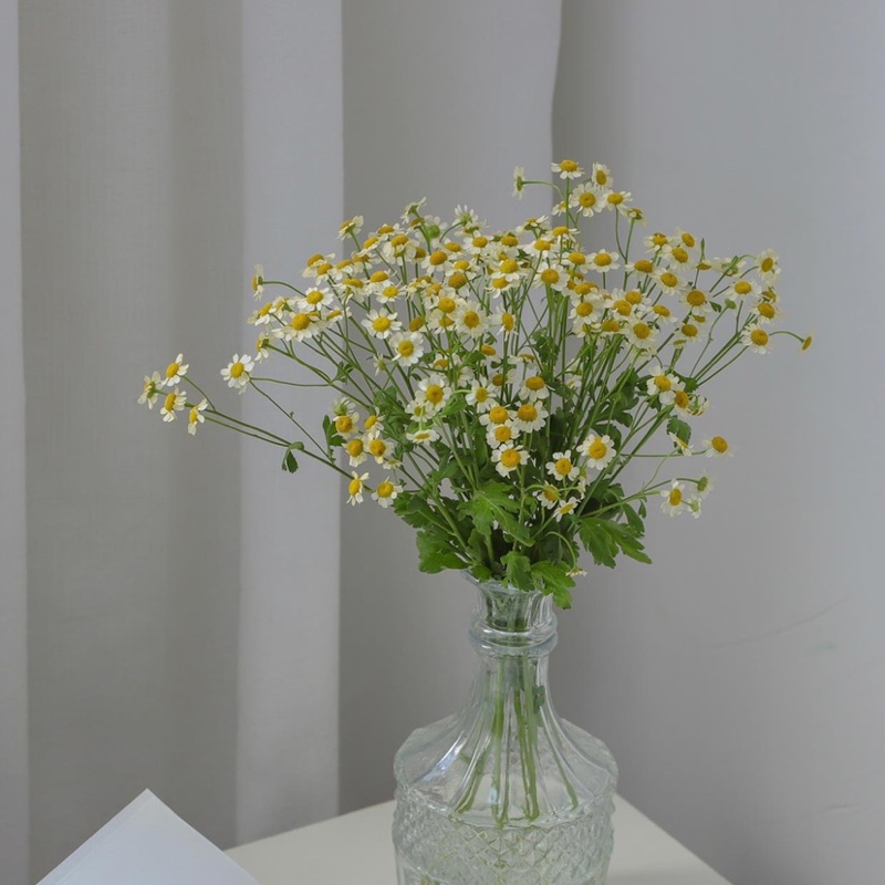 爱吃白切羊糕的千纸鹤bc