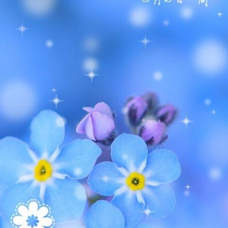 花开花落花满天