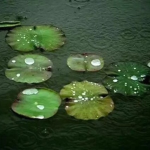 爱吃糖的糖糖8787