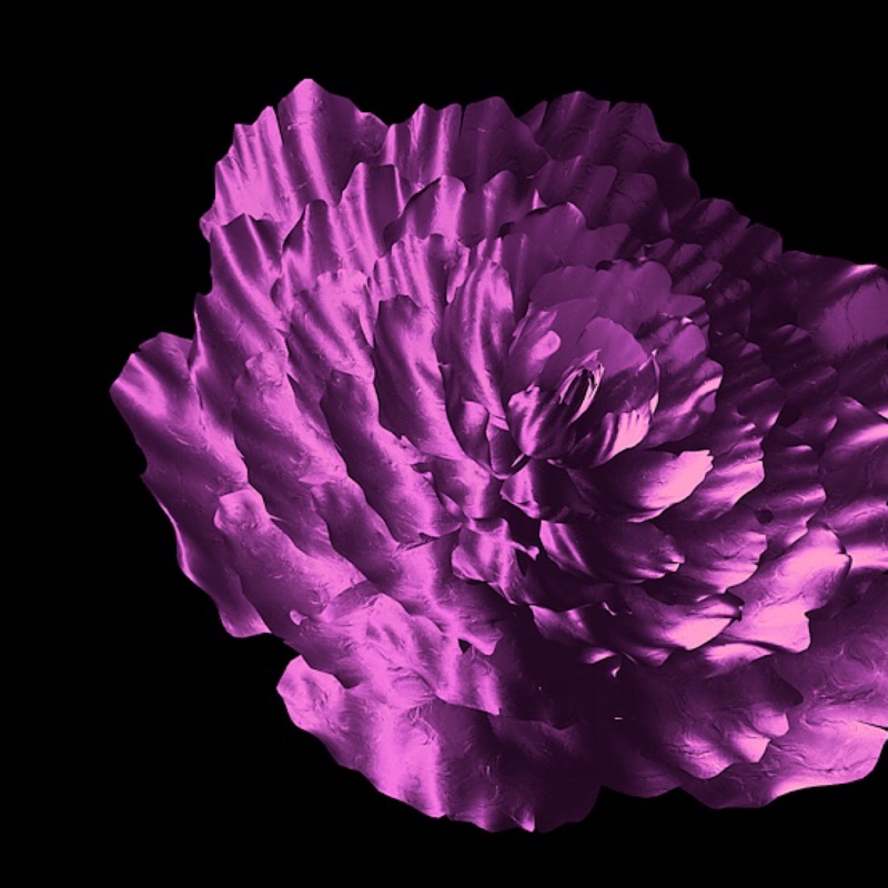 大爱的偏偏宠爱