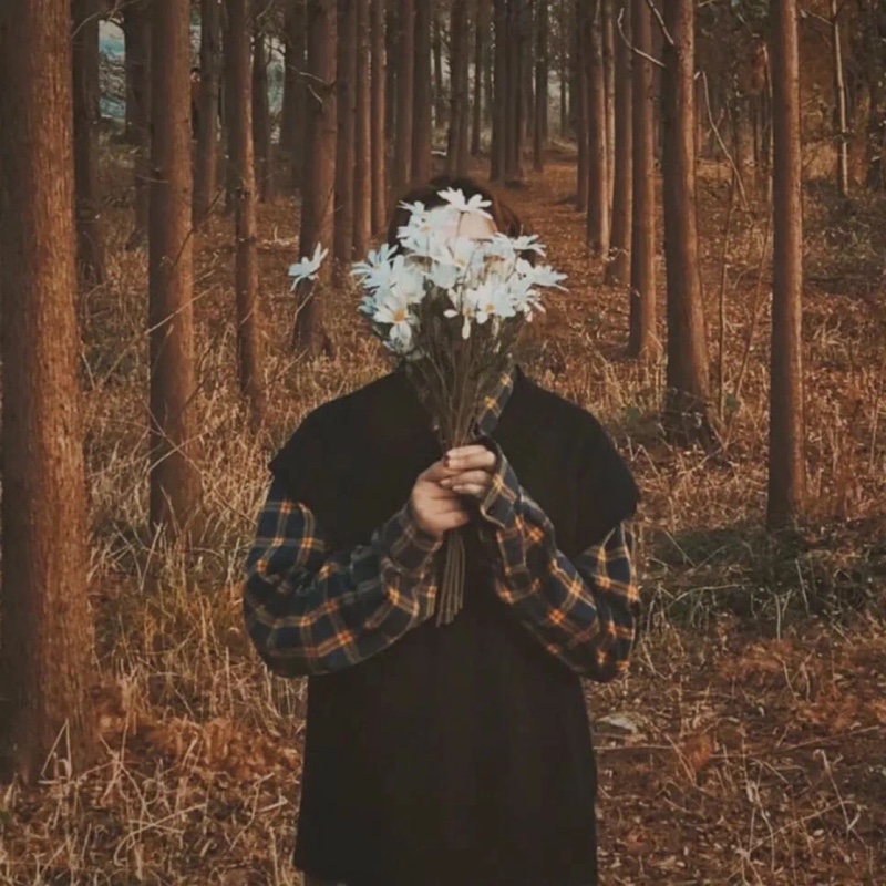 西北自立的甜圈