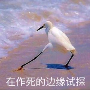 那什么也太那什么了吧