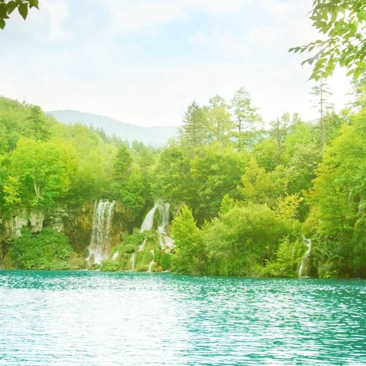 爱吃龙眼粥的白龙