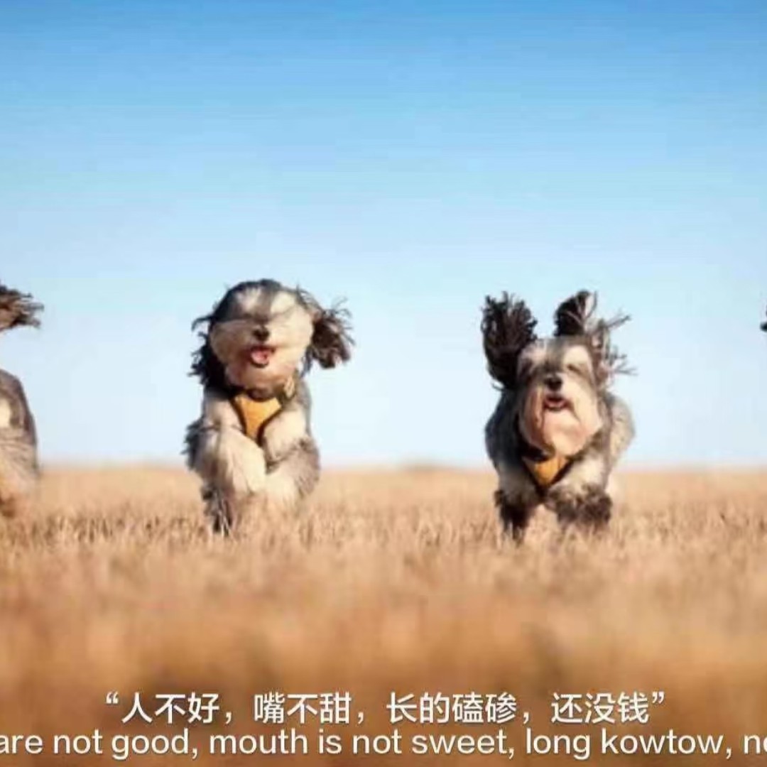 五星好评反三块