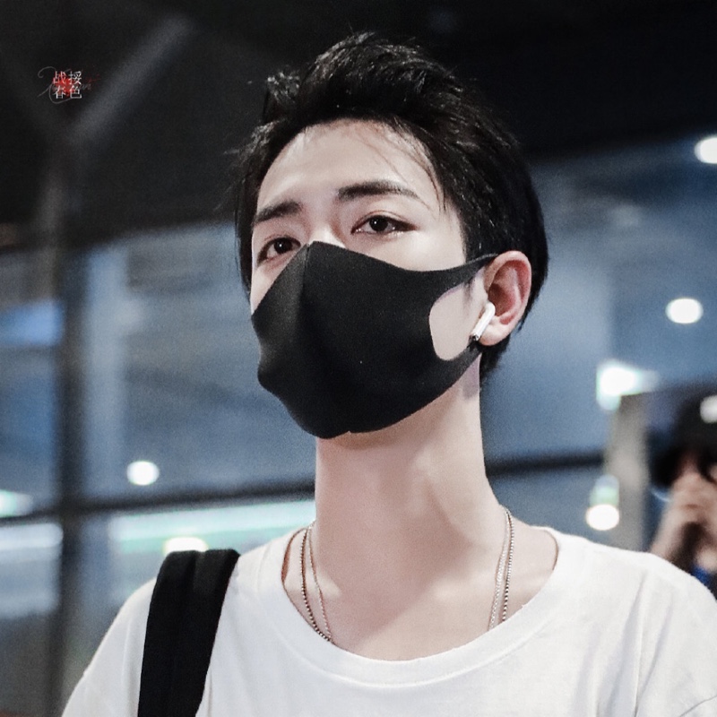 本白色的酒椰棕榈