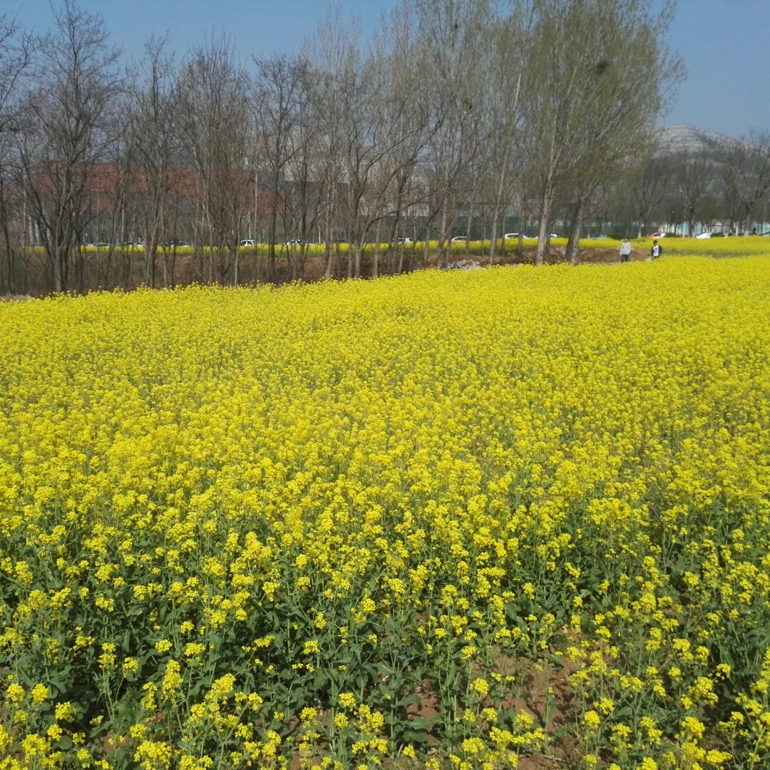 井底之蛙的丈夫很自信