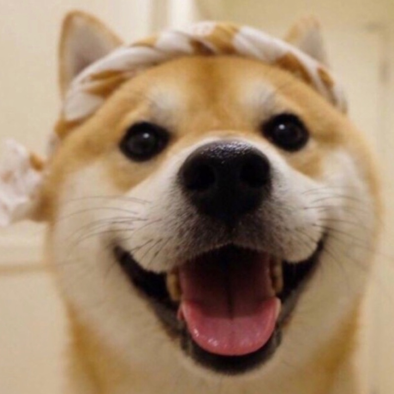 大雅的乔阿齐姆