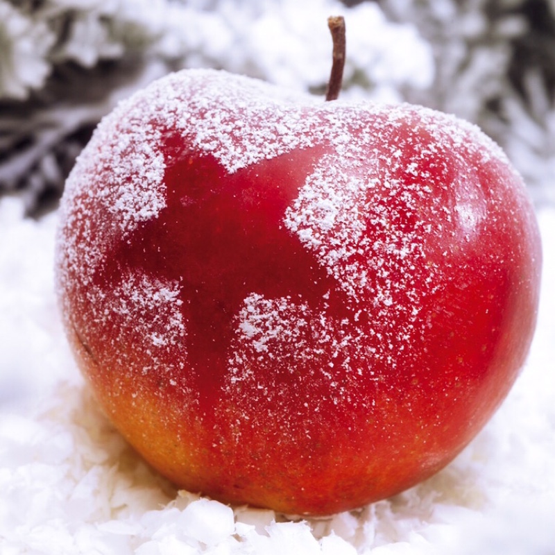 cai月光下的女孩