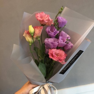 越来越好越幸运啦啦啦