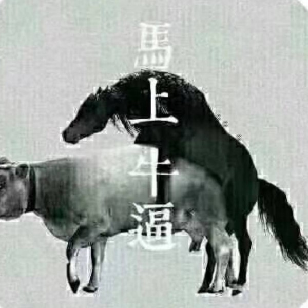 法牛不是牛