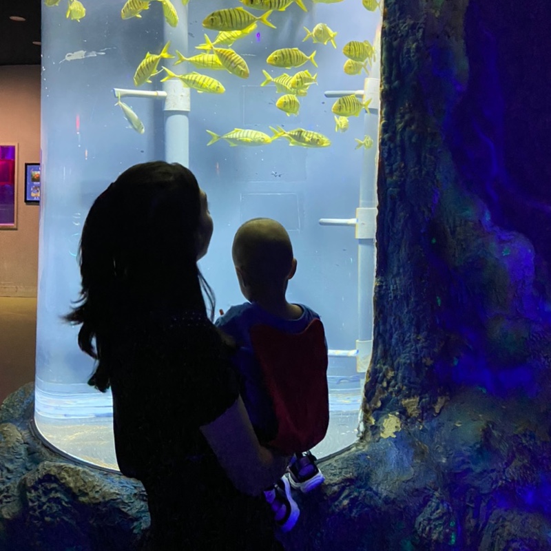 我是宝宝咋滴吧