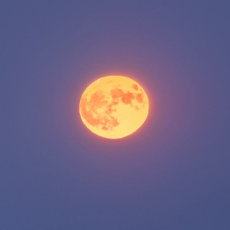 清酒孤灯闻楚角