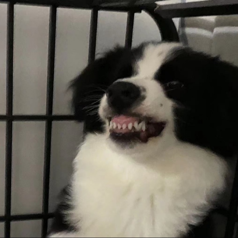 菲菲菲菲菲菲总！