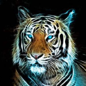 打死武松的猛虎