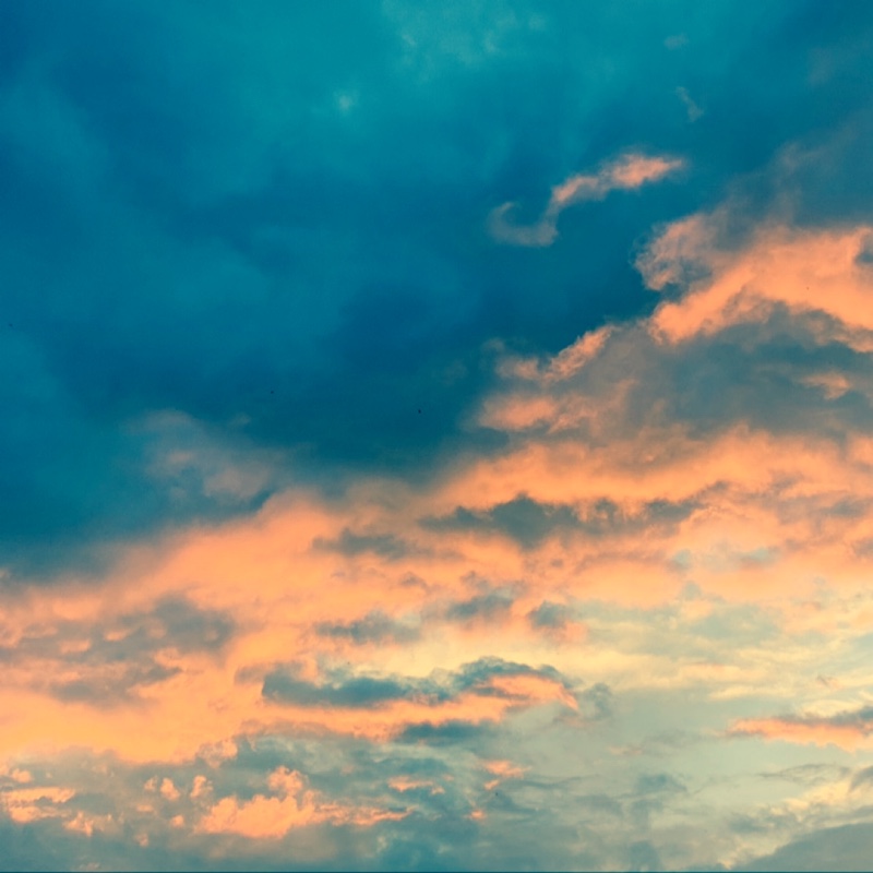 我的快递请不要发中通