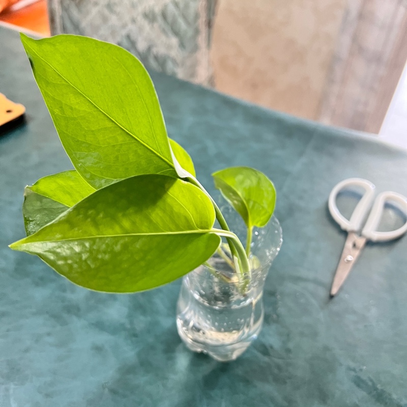 宝宝宝宝是我呀