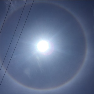 爱吃蚝油油菜的双皮奶爱沟