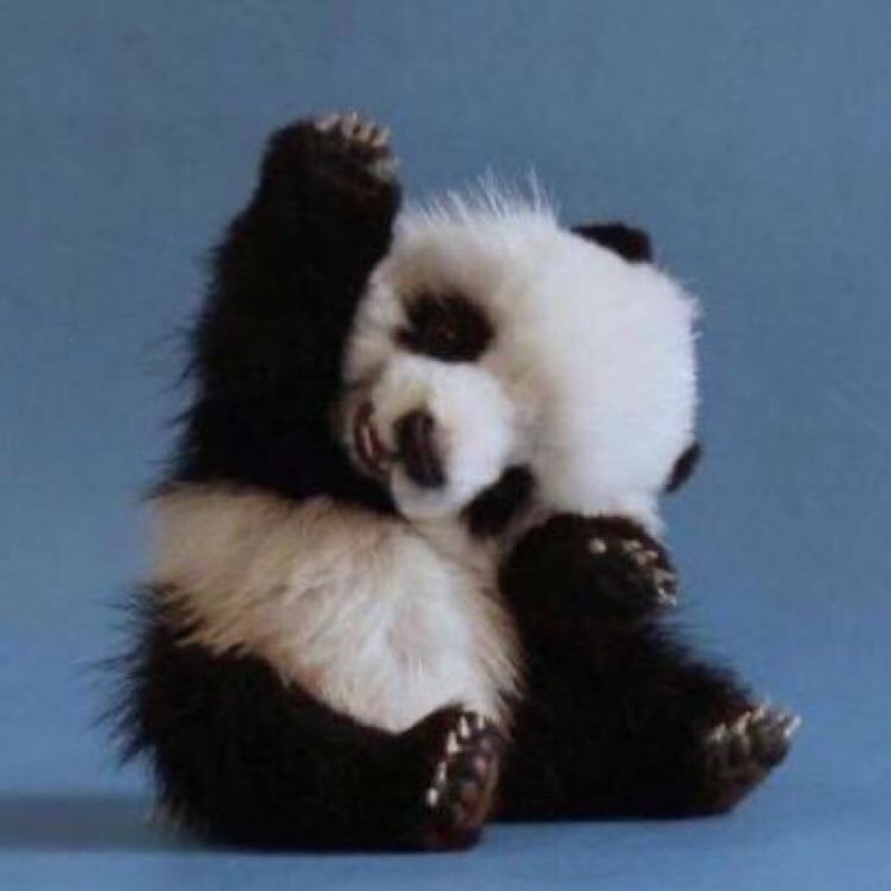 今天也要帅气的过