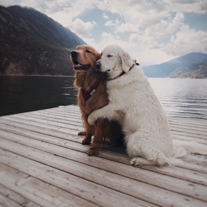 ：个败家玩意儿