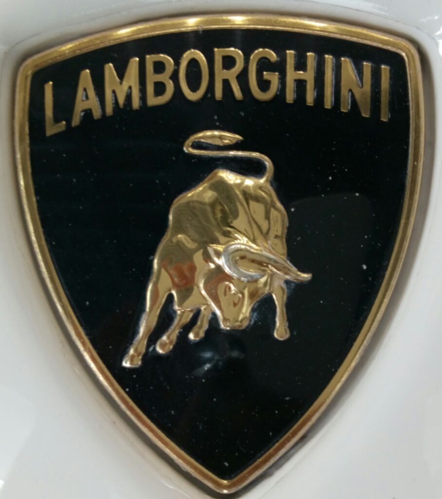 波波波波波波记