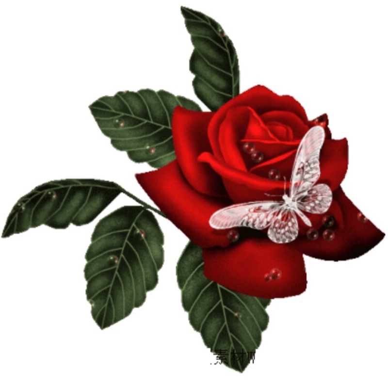 天上的云朵好美