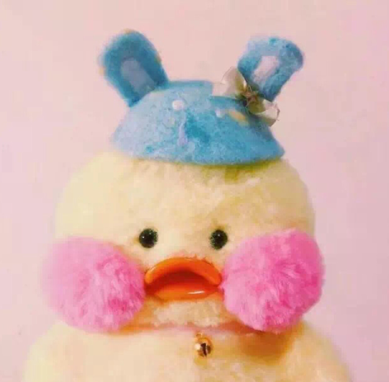 萌里花落知多少