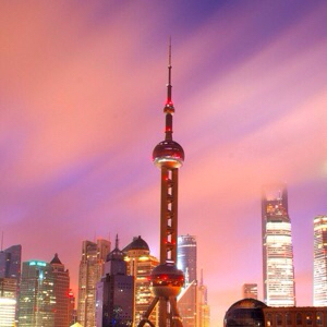 爱吃山药凉糕的樱花