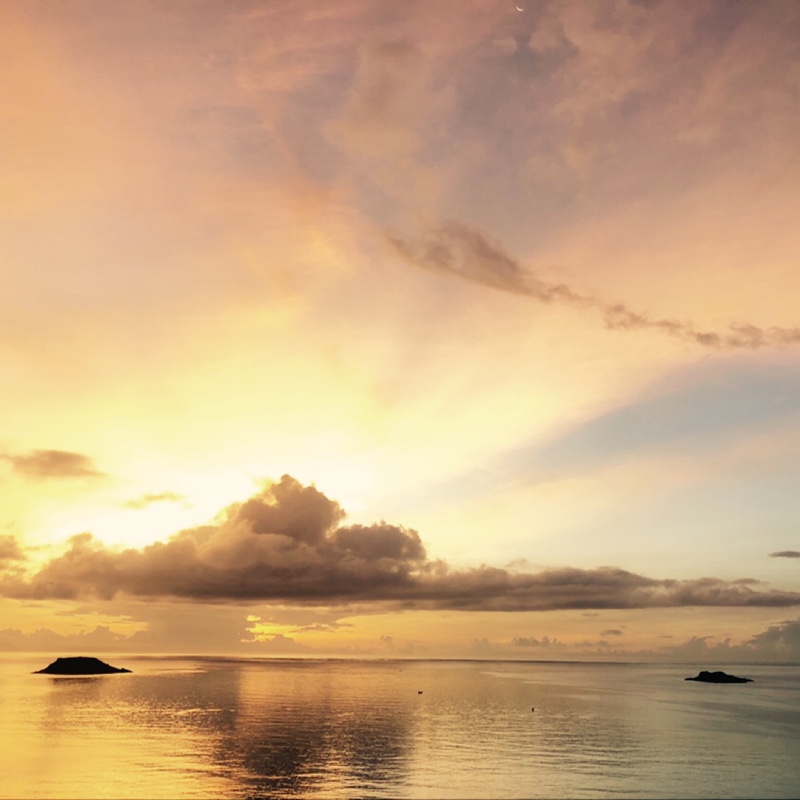 李氏集团CEO董事长！