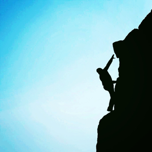 大王叫我来巡宝儿