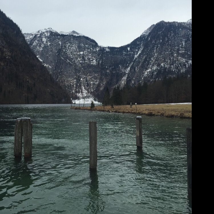 香饽饽的晚年生活