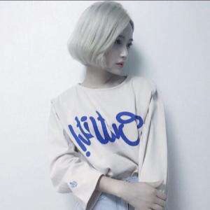 我的世界小丑最美1