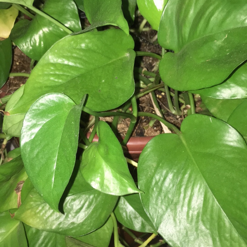 没事搞搞基6848250