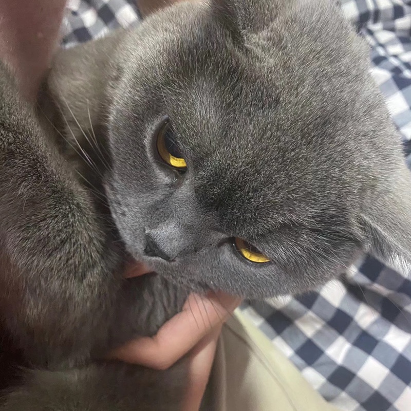 爱写不进日记li