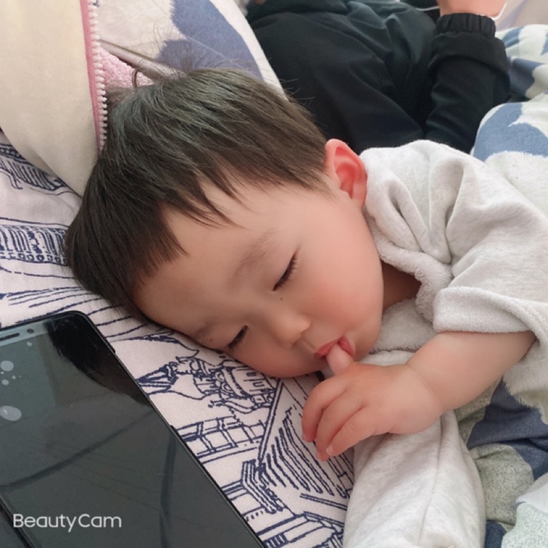 爱吃一品赤参的小丑鱼的狐